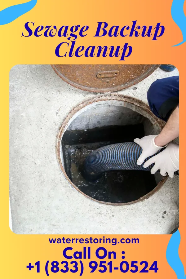 Sewage Backup Cleanup in Edina, MO