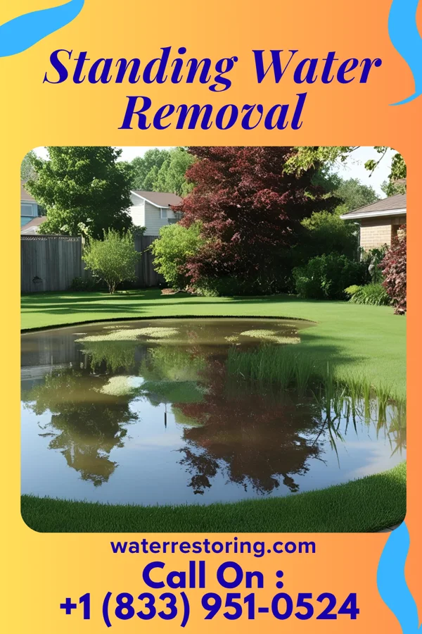 Standing Water Removal in Edina, MO